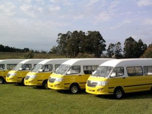 Best Wholesale School Bus for Sale Price – KINGSTAR minibus