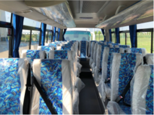 Minibús a la venta en Zambia - Información de la industria - 8