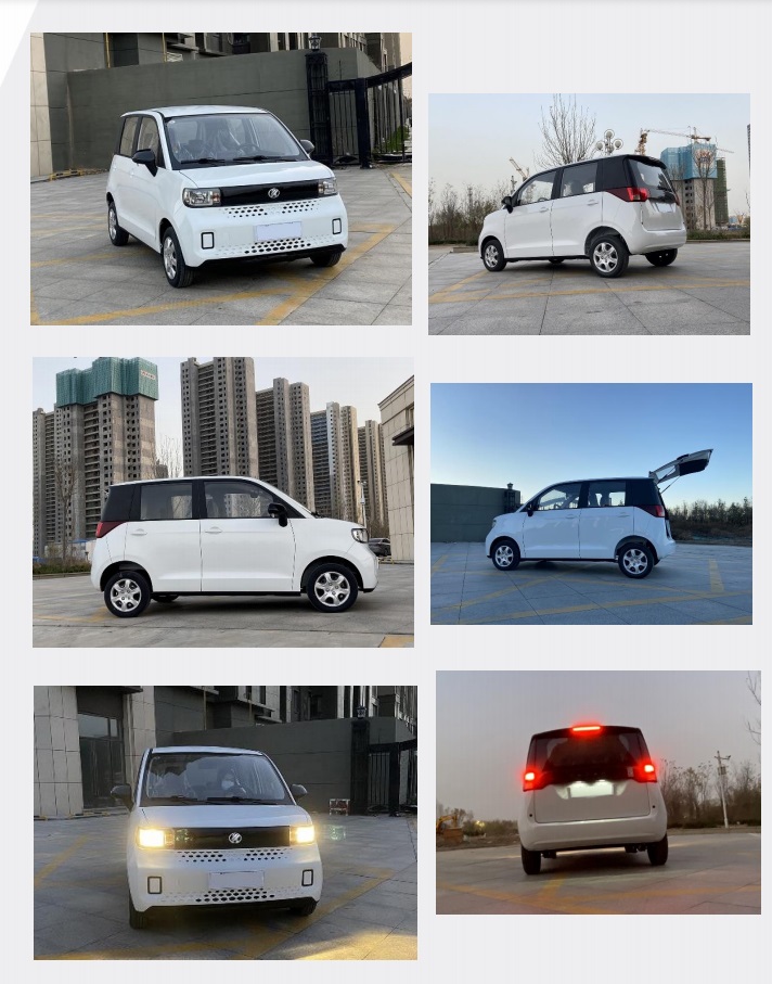 5 Seats Electric Hatchback for Sale Price EF1- exterior
